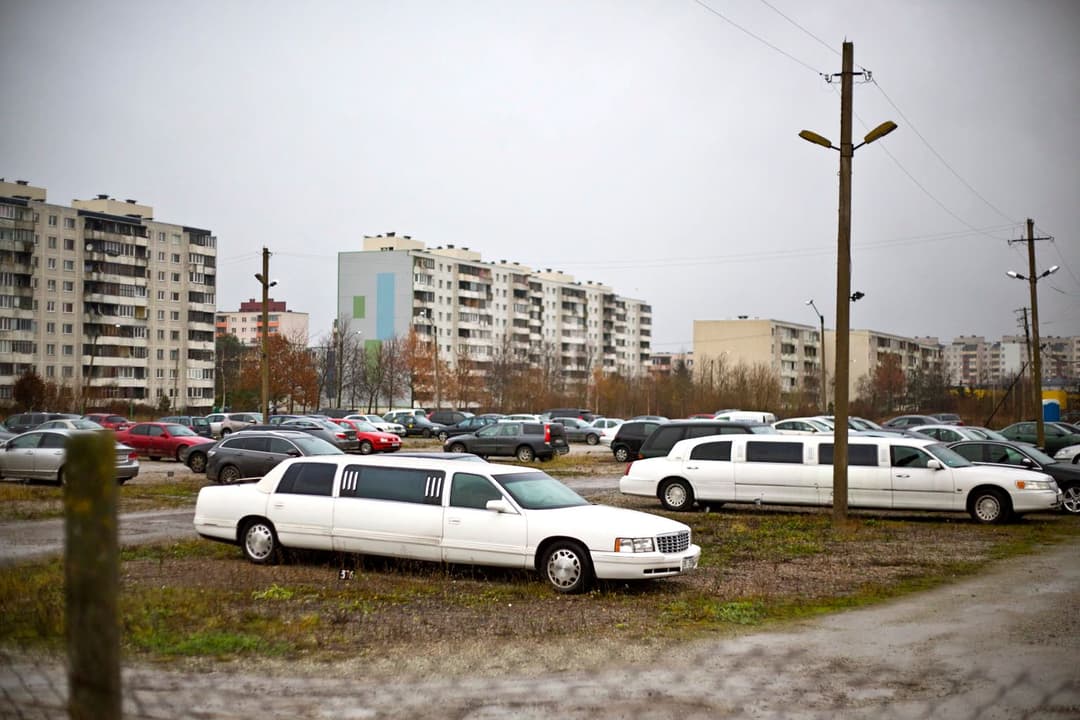 The Expectations of 1991 Revisited