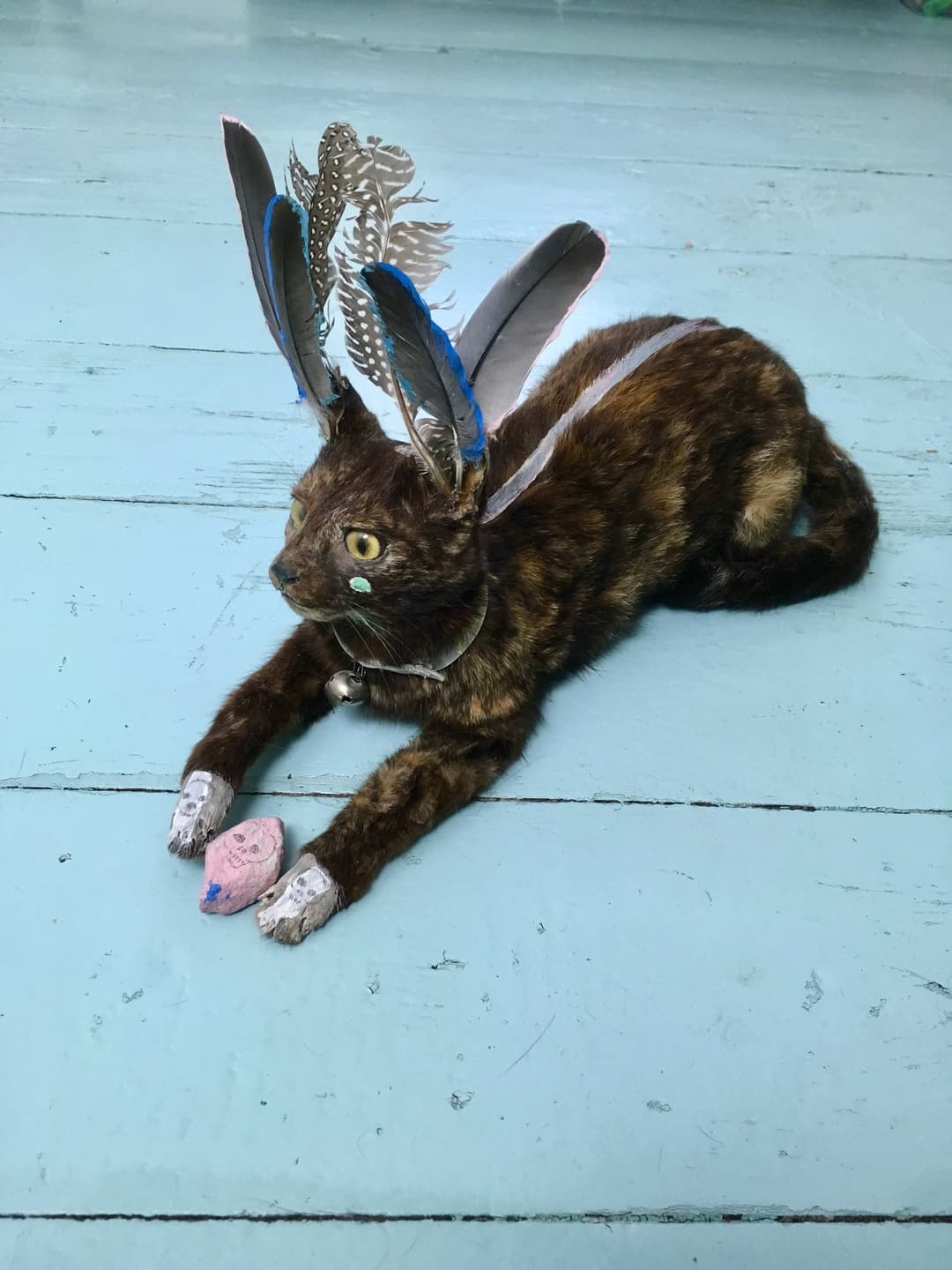 Límites etnográficos