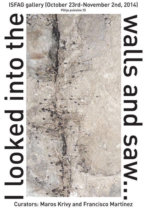 "I looked into the Wall and Saw", with M. Krivy. ISFAG,, Tallinn, 2014