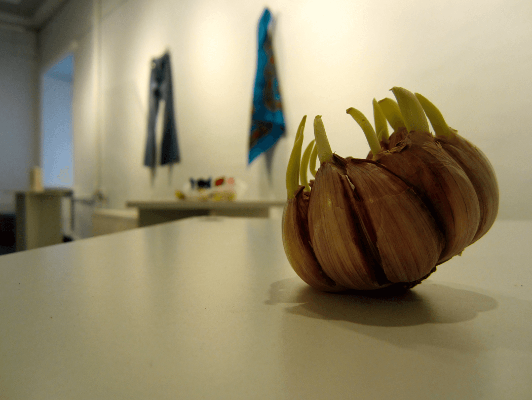 "The Railway Street Market Goes to the Gallery", EKA Gallery, 2014